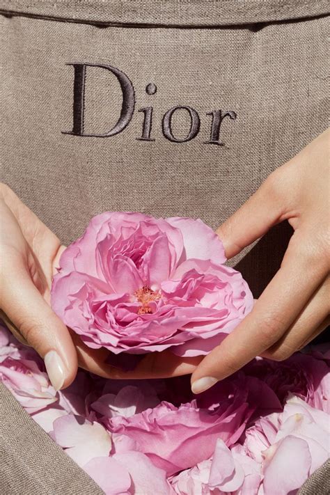 blumen dior|miss Dior flowers for women.